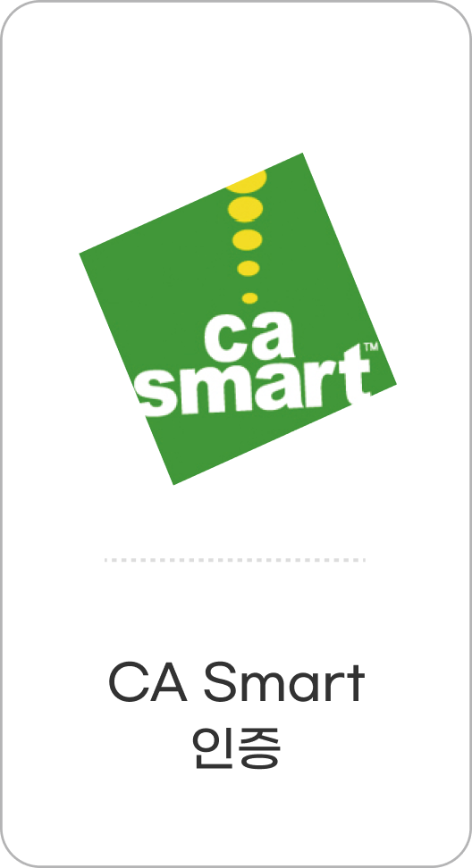 CA Smart 인증