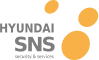 HYUNDAI SNS